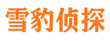 保定市私人侦探